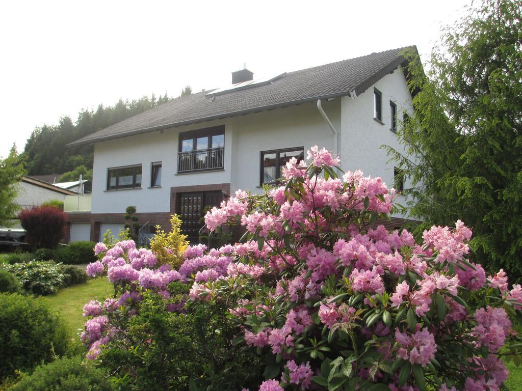 Ferienwohnung-Lind Wimbach Pokoj fotografie